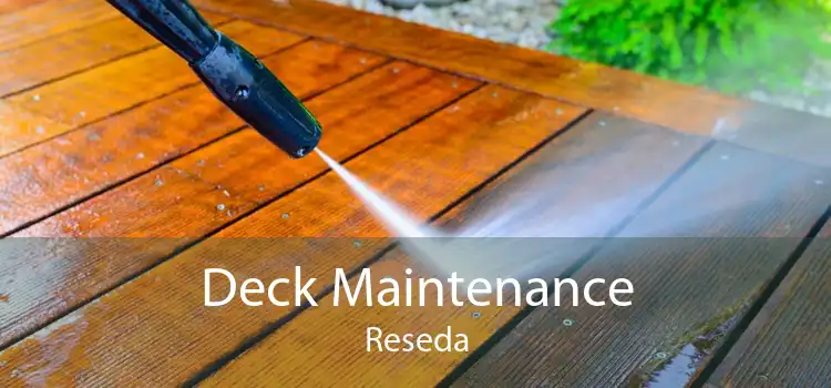 Deck Maintenance Reseda